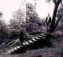 The Woodzmen – Timbre Medicinals | Timber Timbre